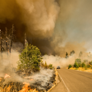 oregon wildfires statistics